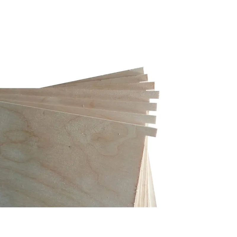 Zatwór zawężający - 4